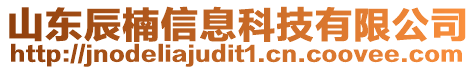 山東辰楠信息科技有限公司