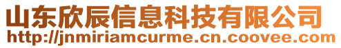 山東欣辰信息科技有限公司