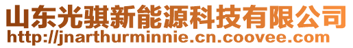 山東光騏新能源科技有限公司