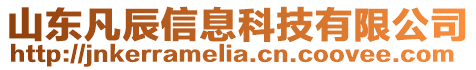 山東凡辰信息科技有限公司