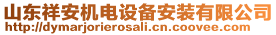 山東祥安機(jī)電設(shè)備安裝有限公司