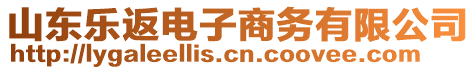 山東樂返電子商務有限公司