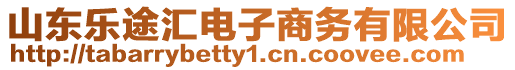 山東樂途匯電子商務(wù)有限公司