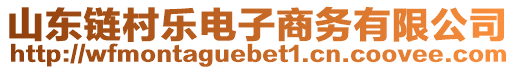 山東鏈村樂(lè)電子商務(wù)有限公司