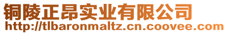 銅陵正昂實業有限公司
