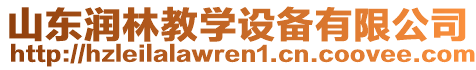 山東潤(rùn)林教學(xué)設(shè)備有限公司