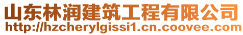 山東林潤建筑工程有限公司