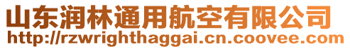 山東潤林通用航空有限公司