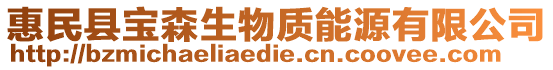 惠民縣寶森生物質能源有限公司