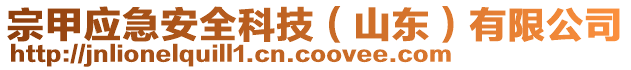 宗甲應(yīng)急安全科技（山東）有限公司