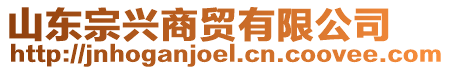 山東宗興商貿(mào)有限公司