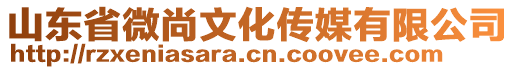 山東省微尚文化傳媒有限公司