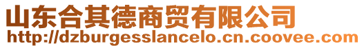 山東合其德商貿(mào)有限公司