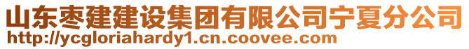 山東棗建建設(shè)集團(tuán)有限公司寧夏分公司