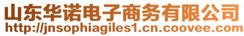 山東華諾電子商務有限公司