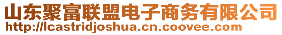 山東聚富聯(lián)盟電子商務(wù)有限公司