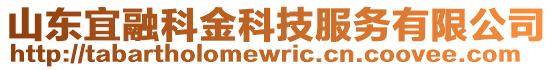 山東宜融科金科技服務(wù)有限公司