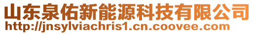 山東泉佑新能源科技有限公司