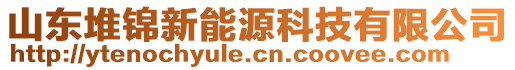 山東堆錦新能源科技有限公司