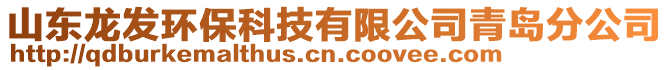 山东龙发环保科技有限公司青岛分公司