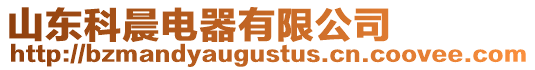 山東科晨電器有限公司