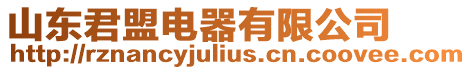 山東君盟電器有限公司