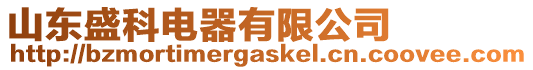 山東盛科電器有限公司