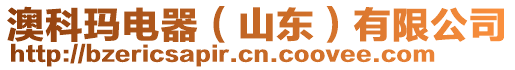 澳科瑪電器(山東)有限公司