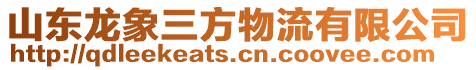 山東龍象三方物流有限公司