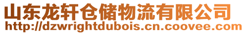 山東龍軒倉(cāng)儲(chǔ)物流有限公司
