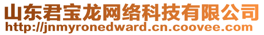 山東君寶龍網(wǎng)絡(luò)科技有限公司