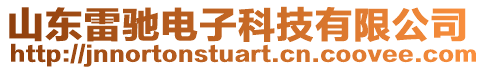 山東雷馳電子科技有限公司