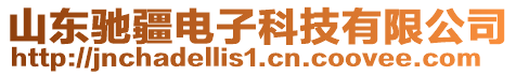 山東馳疆電子科技有限公司
