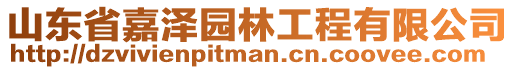 山東省嘉澤園林工程有限公司