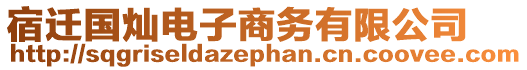 宿遷國燦電子商務(wù)有限公司