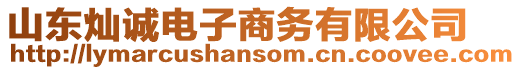 山東燦誠電子商務(wù)有限公司