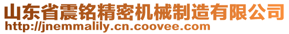 山東省震銘精密機械制造有限公司