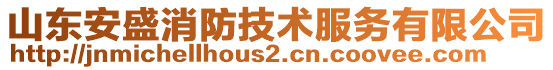 山東安盛消防技術(shù)服務(wù)有限公司