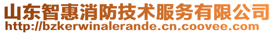 山東智惠消防技術服務有限公司