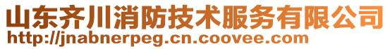 山東齊川消防技術服務有限公司