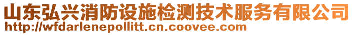 山東弘興消防設(shè)施檢測技術(shù)服務(wù)有限公司