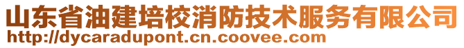 山東省油建培校消防技術(shù)服務(wù)有限公司