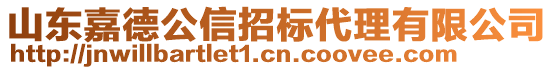 山東嘉德公信招標(biāo)代理有限公司