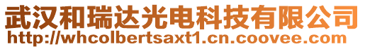 武漢和瑞達(dá)光電科技有限公司