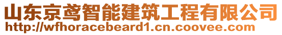 山東京鳶智能建筑工程有限公司