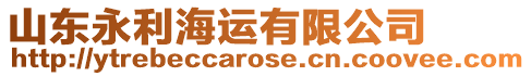 山東永利海運有限公司