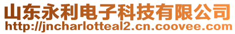 山東永利電子科技有限公司