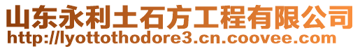 山東永利土石方工程有限公司