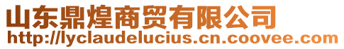 山東鼎煌商貿有限公司
