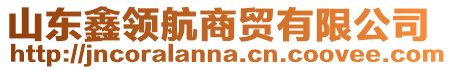山東鑫領航商貿有限公司